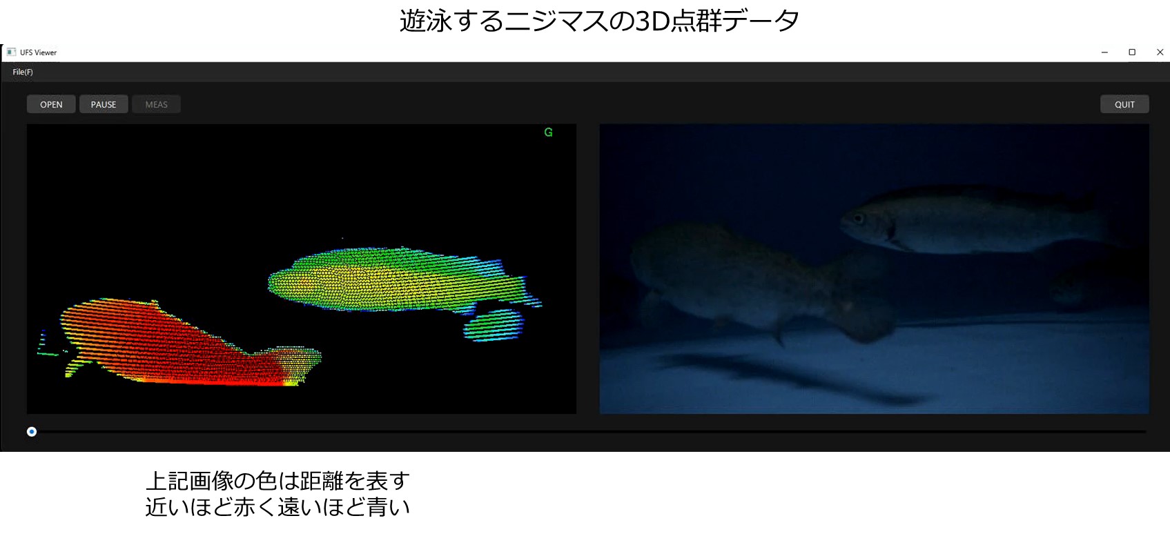 代表データ